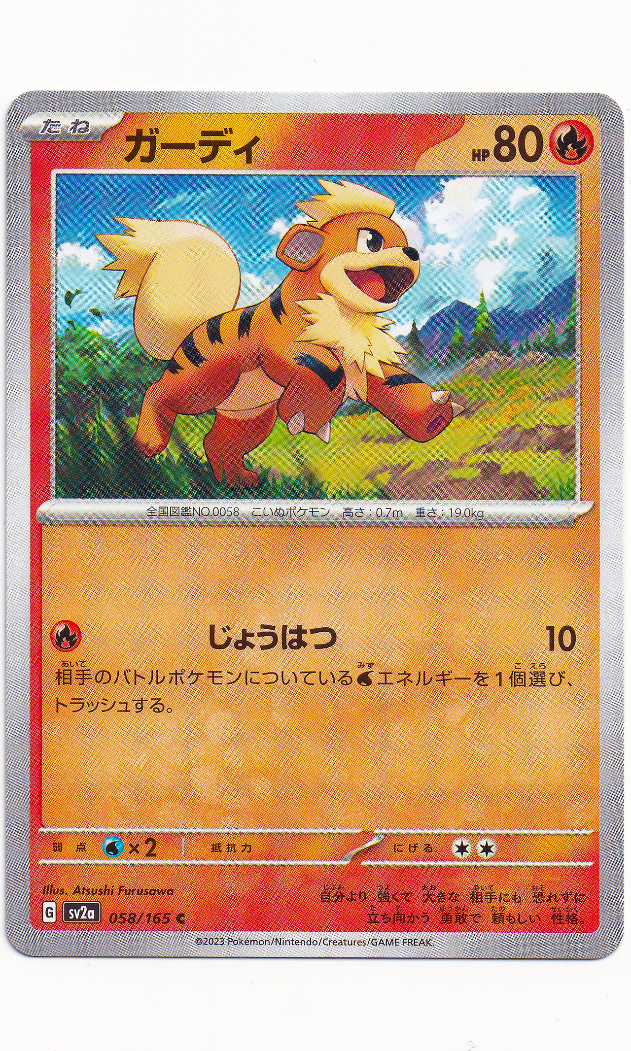 Pokemon (Japanese) - #058 Growlithe